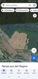 Hundeauslaufgebiet-Hundewiese-Bild