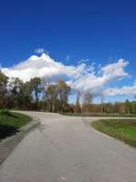 Hundeauslaufgebiet-Isar Damm-Bild