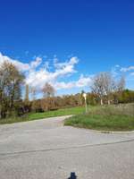 Hundeauslaufgebiet-Isar Damm-Bild