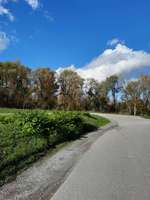 Hundeauslaufgebiet-Isar Damm-Bild