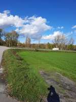 Hundeauslaufgebiet-Isar Damm-Bild