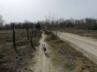 Hundeauslaufgebiet-Döberitzer Heide-Bild