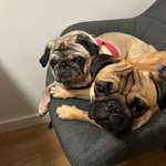 Ersteller:in Sandra Profilbild