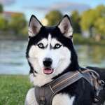 Ersteller:in Guru Profilbild