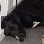 Ersteller:in Markus Profilbild