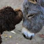 Ersteller:in Mireille Profilbild