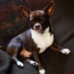 Ersteller:in Tanja Profilbild