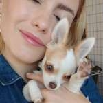 Ersteller:in P Profilbild