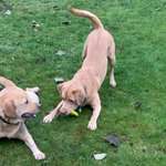 Ersteller:in Katharina Profilbild