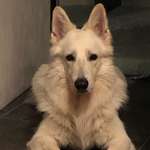 Ersteller:in Monika Profilbild