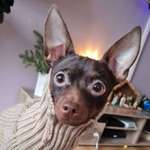 Ersteller:in Julia Profilbild