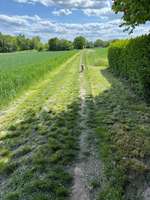 Hundeauslaufgebiet-Feld und Wiesen am Eschbach-Bild
