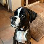 Ersteller:in Chris Profilbild