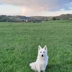 Ersteller:in Sarah Profilbild