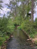 Hundeauslaufgebiet-Renaturierte Pfrimm-Bild