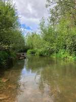 Hundeauslaufgebiet-Renaturierte Pfrimm-Bild