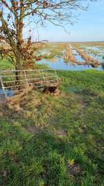 Hundeauslaufgebiet-Aussichtsturm Himmelstreppe-Bild