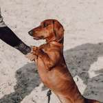 Ersteller:in Anja Profilbild