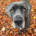 Ersteller:in Katrin Profilbild