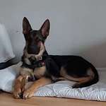 Ersteller:in Katja Profilbild