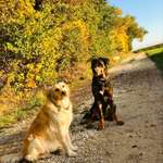 Ersteller:in Paulina Profilbild