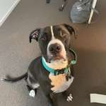 Ersteller:in Esther Profilbild