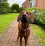 Ersteller:in Nic Profilbild