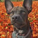 Ersteller:in Dana Profilbild