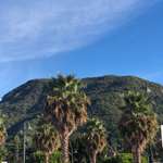 Ersteller:in Anna Profilbild