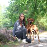 Ersteller:in Sarah Profilbild