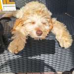 Ersteller:in Nicole Profilbild