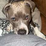 Ersteller:in Sina Profilbild