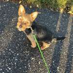 Ersteller:in Tatjana Profilbild