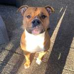 Ersteller:in Lisa-Marie Profilbild