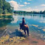 Ersteller:in Sarah Profilbild