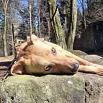Ersteller:in Jessica Profilbild