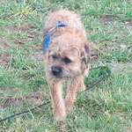 Ersteller:in Bianca Profilbild