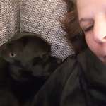 Ersteller:in Silke Profilbild