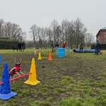 Hundeauslaufgebiet-Gottesauer Schloss Musikhochschule Karlsruhe-Bild