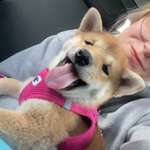 Ersteller:in Michelle Profilbild