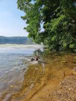 Hundeauslaufgebiet-Dünnwalder Wald-Bild