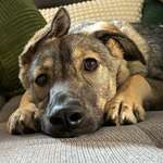 Ersteller:in Christina Profilbild