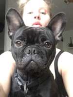 Suchmeldung-Haily-Bild