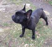 Suchmeldung-Haily-Bild