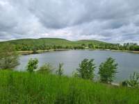 Hundeauslaufgebiet-Arkenberger Seen-Bild