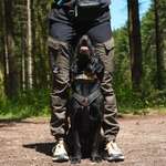 Ersteller:in Ellen Profilbild