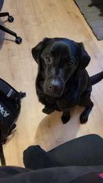 Gerötete Augen / tlw. hängendes Augenlid-Beitrag-Bild