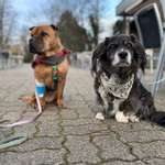 Inkontinenz Tipps und Kniffe-Beitrag-Bild