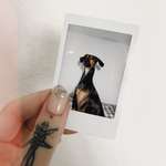 Ersteller:in Carolin Profilbild