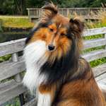 Ersteller:in Leah Sophie Profilbild